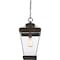 Quoizel Ravine 1-Light Western Bronze Mini Pendant RAV1510WT - alternate 2